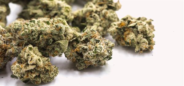 Connecticut Enters Adult-Use Cannabis…