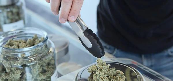 City-Operated Cannabis Dispensary Opens&hellip;