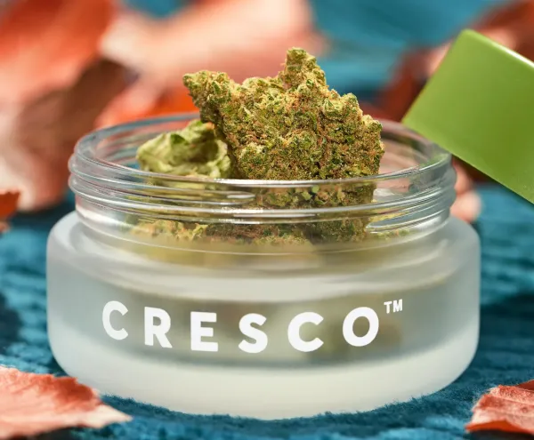 Insurer Sues Cresco Labs, Seeking to&hellip;