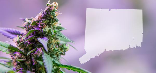 Connecticut Cannabis Tax Revenue Up 67%&hellip;
