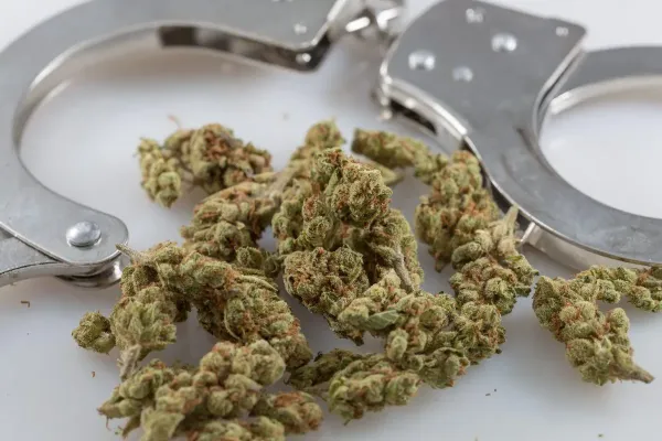 More Than 218,000 Marijuana Arrests…