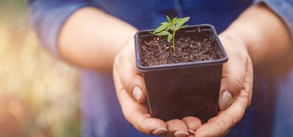 California Gov. Vetoes Bill to Let Some…