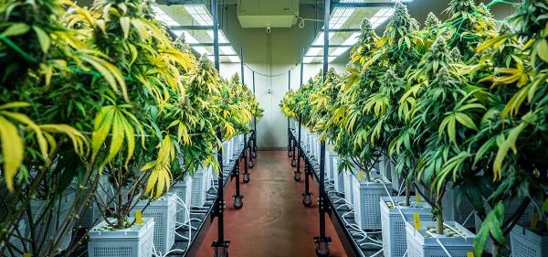Massachusetts Gov. Appoints New…