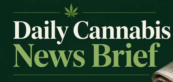 Daily Cannabis News Brief for 7/31/2026