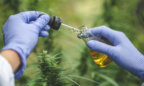 photo of Florida Lawmaker Seeks To Limit THC For Medical Marijuana Patients Under 21 image