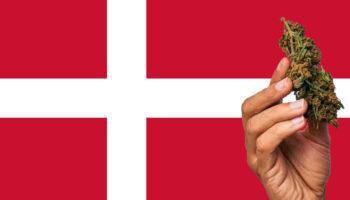 New Era for Medical Cannabis in Denmark…