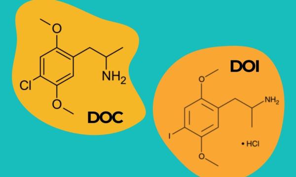 photo of DEA Judge Schedules 10-Day Hearing On Proposed Ban Of Two Psychedelics Amid Pushback From Researchers image