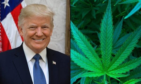 Trump Plans To Pull U.S. Attorney…