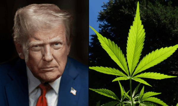 Former Trump Cabinet Official Claims…