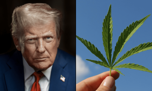 Key Voices In Trump’s MAGA Movement…