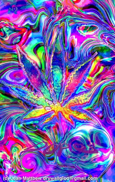 photo of How simple systems protect you when life turns unpredictable image