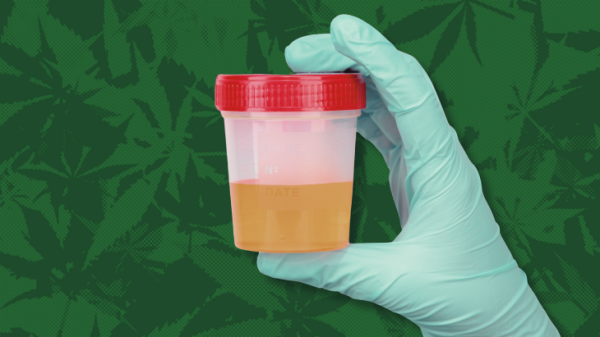 Transportation Memo: Marijuana&hellip;