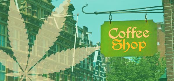 Report: Dutch Pilot Cannabis…