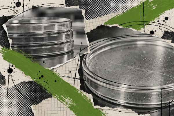 Tilray Brands gains approval for in-house cannabis testing&hellip;