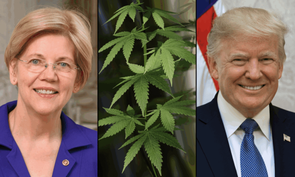 Elizabeth Warren Pushes Trump To End…