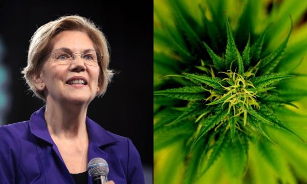 photo of Elizabeth Warren Warns Of Amazon And Big Tobacco Entering Marijuana Market At Anti-Monopoly Event image