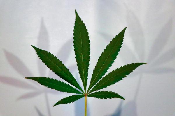New Pennsylvania Bill Would Protect…