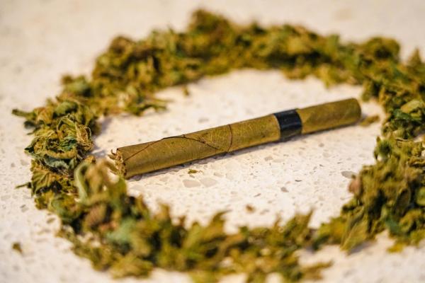 Marijuana Blunt Smoking Has ‘Increased…
