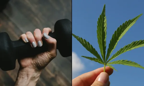 Another Study Debunks Lazy Stoner…