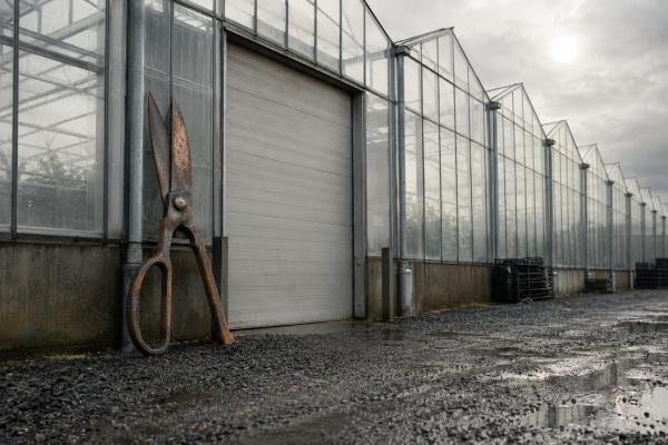 Vireo Growth secures US$60M loan for…