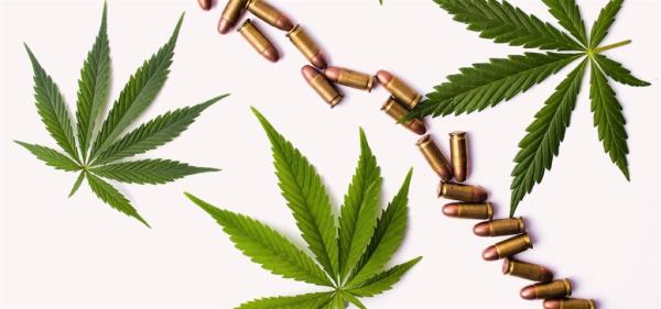 NRA, NORML File Briefs in Supreme Court…