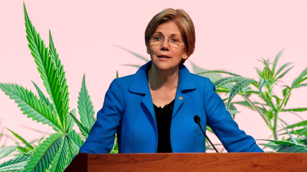 photo of Sen. Elizabeth Warren Calls for Total Removal of Cannabis from Controlled Substances Act on 'The Late Show' image