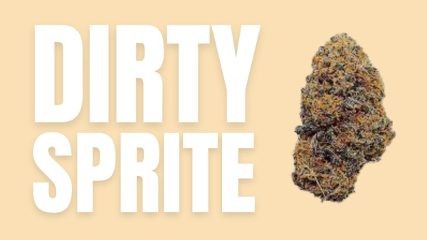 photo of Dirty Sprite Weed Strain: A Fizzy Adventure in Cannabis image