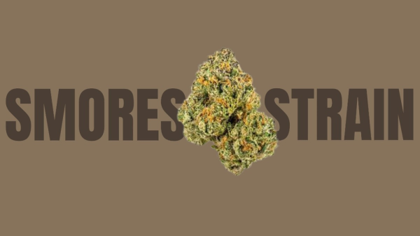 photo of Smores Weed Strain: A Campfire Experience in Every Hit image