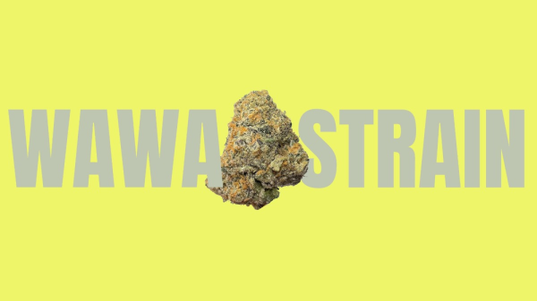 photo of Wawa Weed Strain: The Convenience Store of Cannabis image