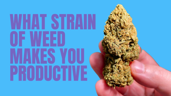 What Strain of Weed Makes You…