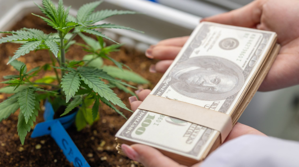Balancing Act: Navigating the Highs and Lows of the Cannabis Job Market