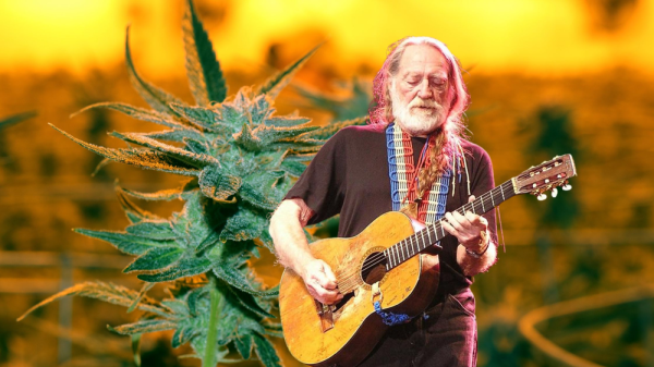 photo of Strains of Stardom: Willie Nelson and His Cannabis Advocacy image