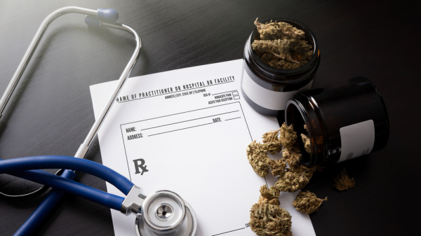 Cannabis Conundrum: Navigating the Fine Line Between Medicine and Malady