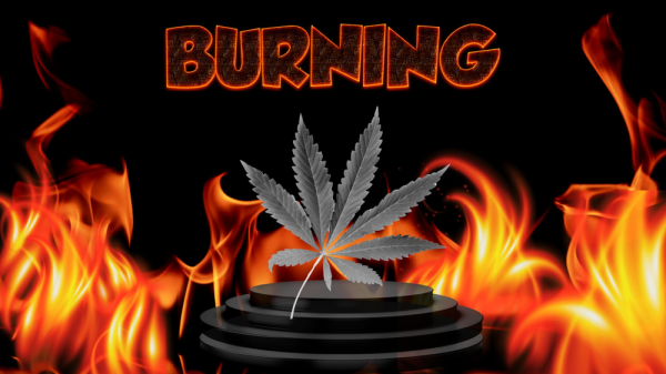 Up in Smoke: The Burning Debate Over Cannabis Descheduling!