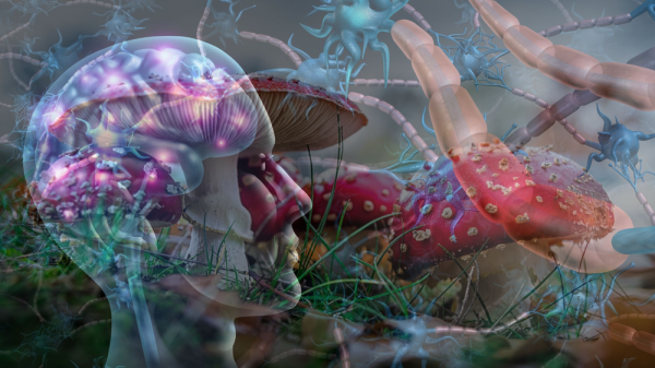 photo of Unlocking the Mind: Can Microdosing Magic Mushrooms Revolutionize Mental Health Treatment? image