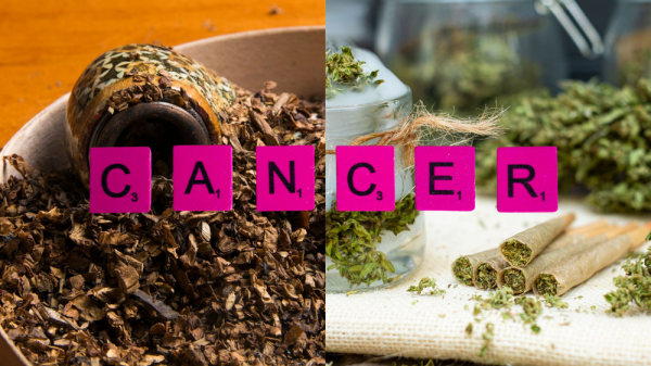 photo of Cannabis vs. Tobacco: Are We Overlooking the Real Cancer Risk? image