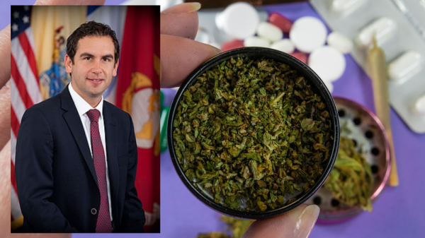 photo of Is Jersey City Mayor Using Cannabis Crackdown as a Gubernatorial Power Play? image