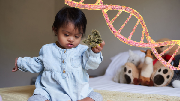 photo of Hidden Consequences: How Maternal Cannabis Use Can Alter a Baby's Genes image