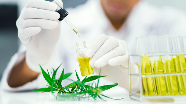 photo of From Labs to Cannabis: A Molecular Biologist’s Unexpected Career Shift image