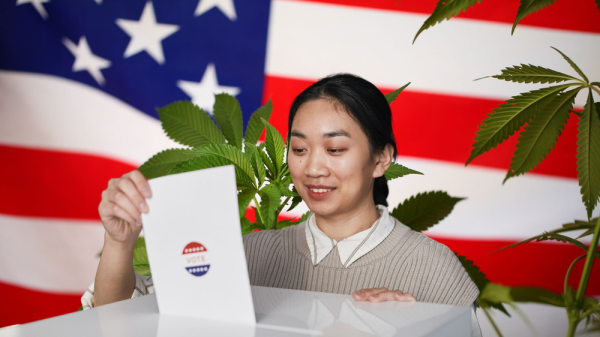 photo of Will 2024 Be the Year America Finally Legalizes Weed? These Elections Could Change Everything! image