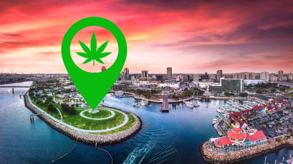 photo of Will Long Beach Become California's Next Cannabis Hotspot? City Council Weighs Public Event Consumption image