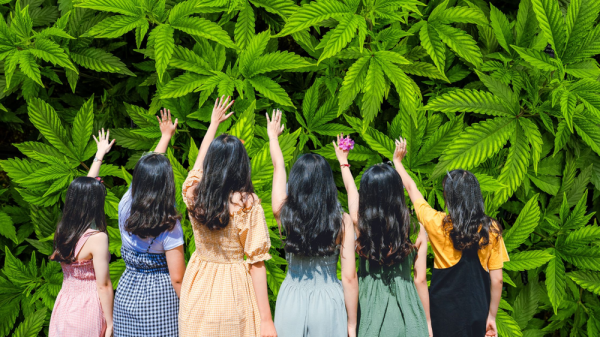 photo of A Gender Shift in Cannabis: Why Young Women Are Outpacing Men and Forcing the Industry to Rethink Its Game Plan image