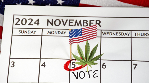 photo of Will These States Finally Legalize Weed in 2024? The Game-Changing Votes Happening This Election Day! image