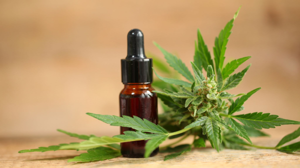 photo of Pre-Winter Wellness: Preparing Your Body for Cold Months with CBD image