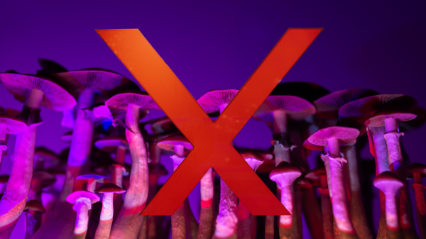 Massachusetts Says No to Psychedelics—What Does This Mean for the Future of Legalization?