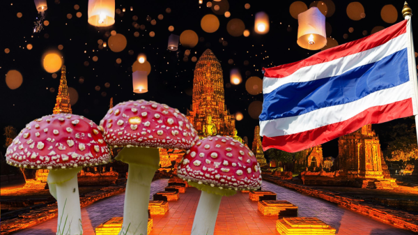 Deadly Mushrooms in Thailand: A Warning…