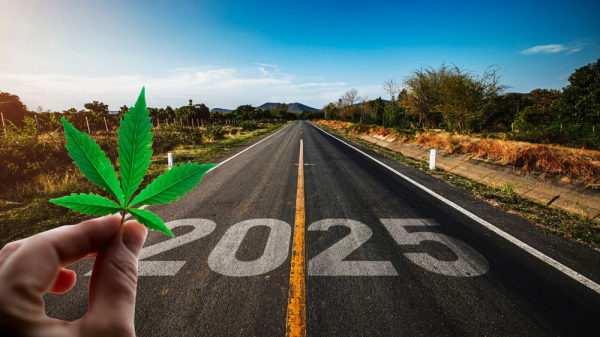 Cannabis in 2025: What's Next?