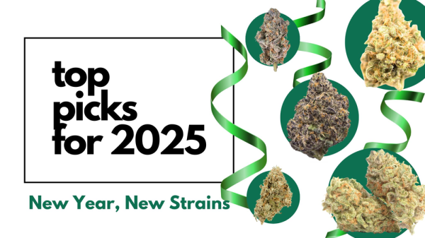 New Year, New Strains: Top Picks for…