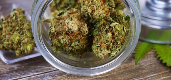 Virginia Medical Cannabis Sales Top&hellip;