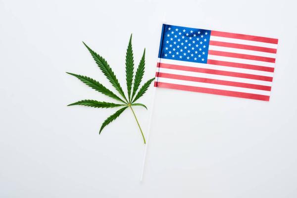 Election 2026: Where Candidates in All…